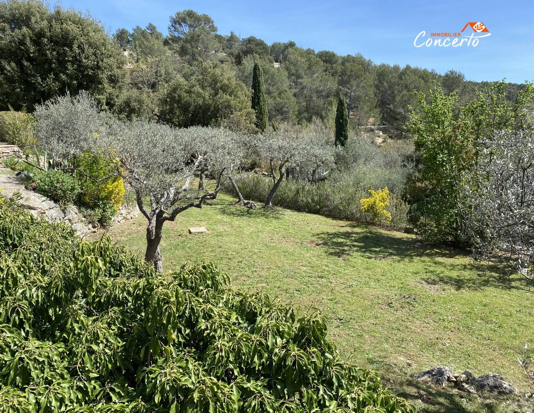 villa 6 pièces à Callas (83830) — photo 3