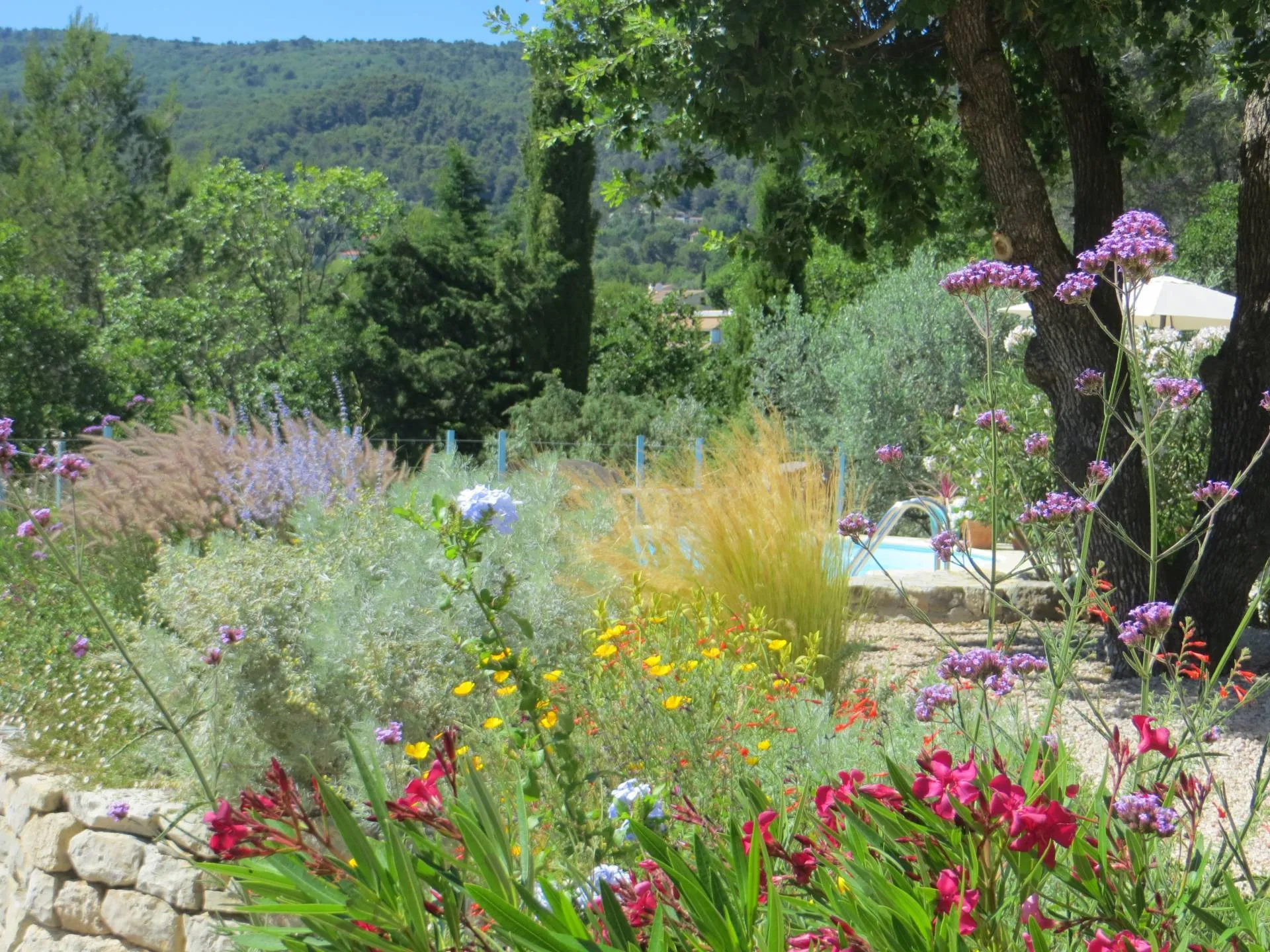 villa 4 pièces à Callas (83830) — photo 4