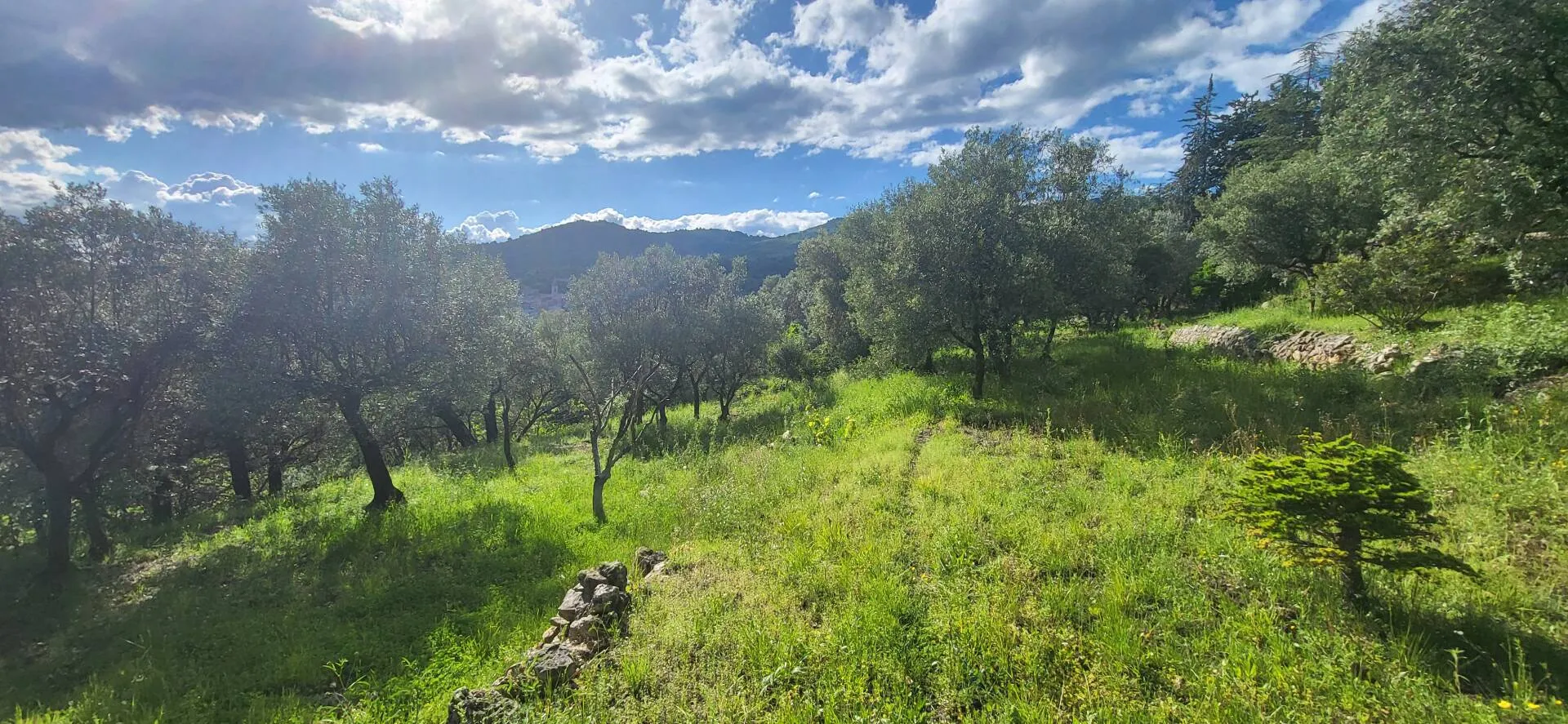 terrain constructible à Callas (83830) — photo 5