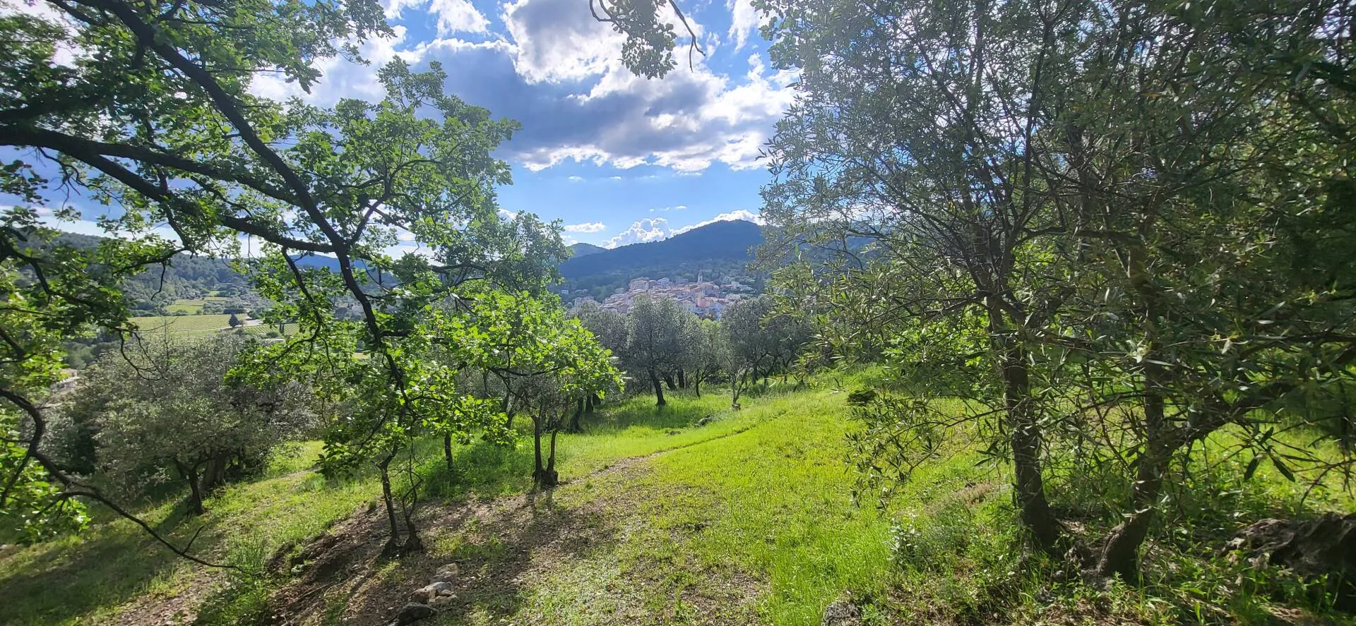 terrain constructible à Callas (83830) — photo 4