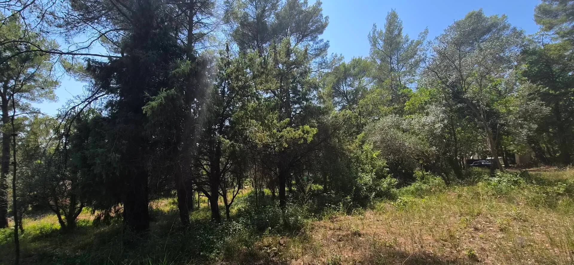 terrain constructible à Callas (83830) — photo 5