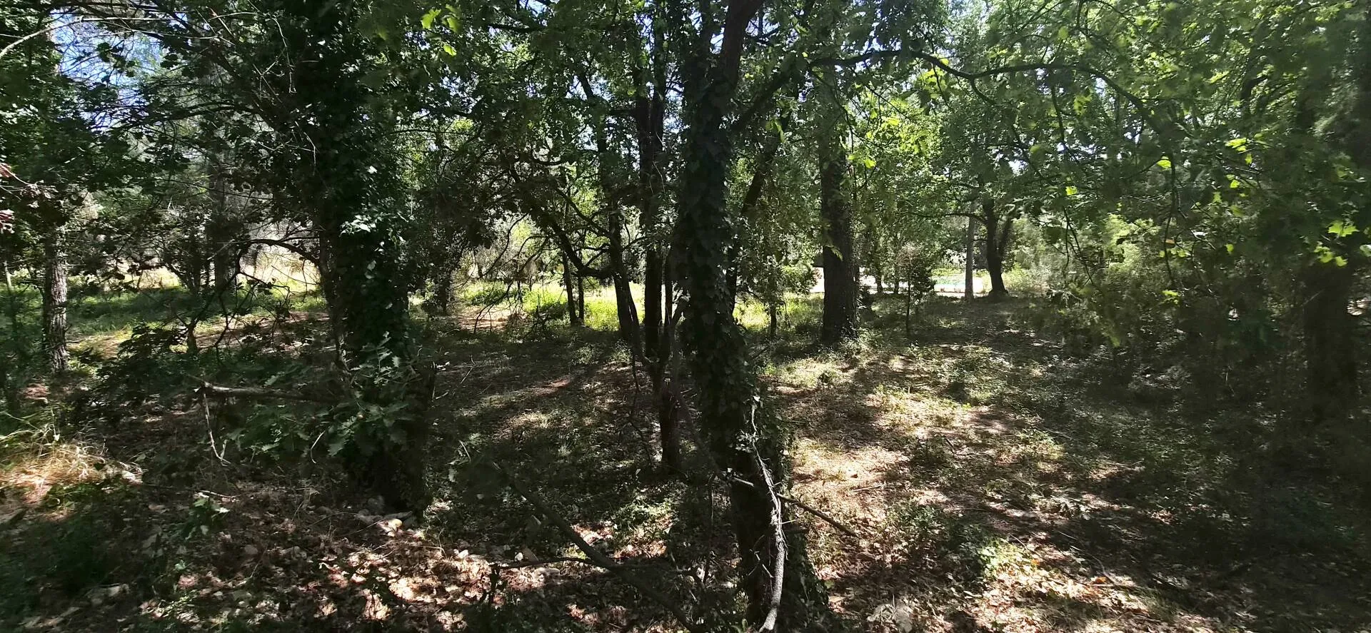 terrain constructible à Callas (83830) — photo 2