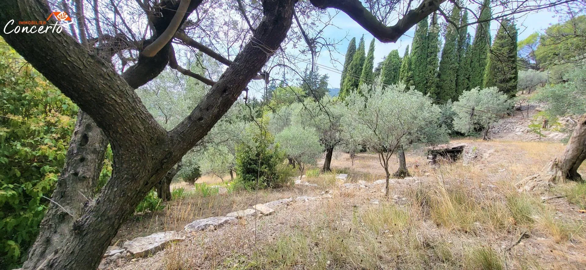 villa 3 pièces à Callas (83830)