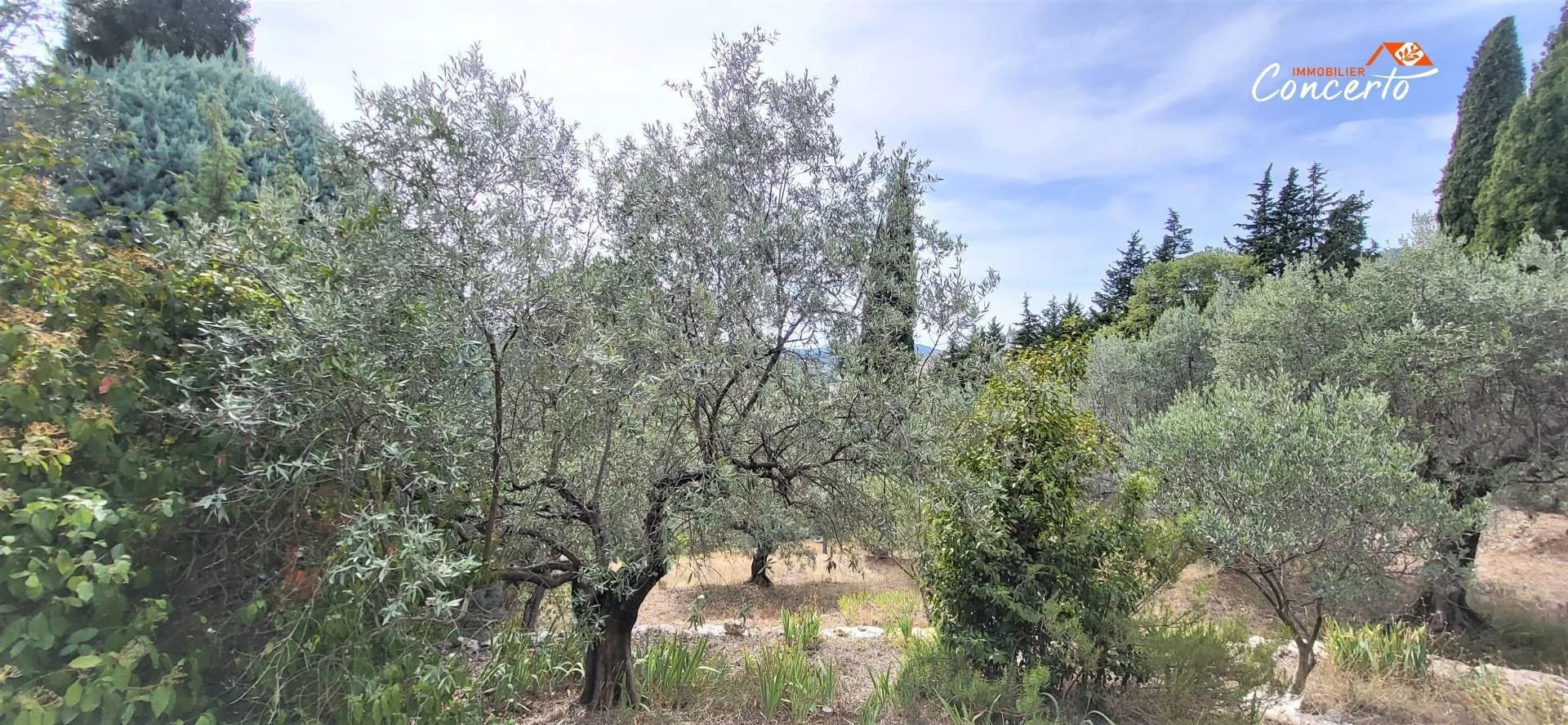 villa 3 pièces à Callas (83830) — photo 3
