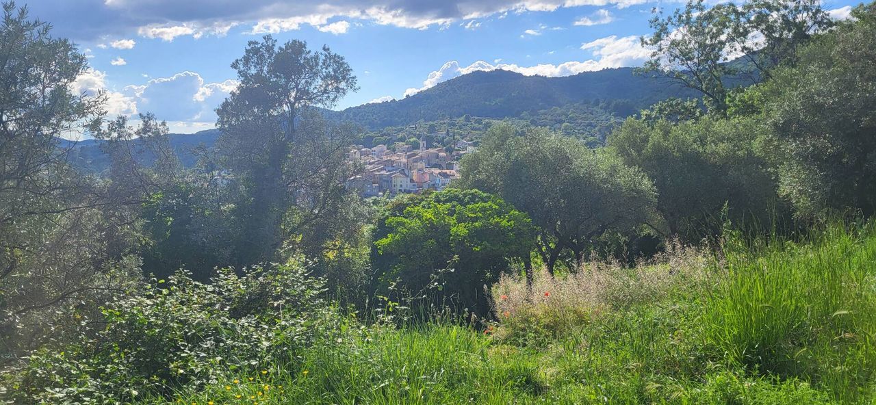 Terrain avec potentiel constructible.