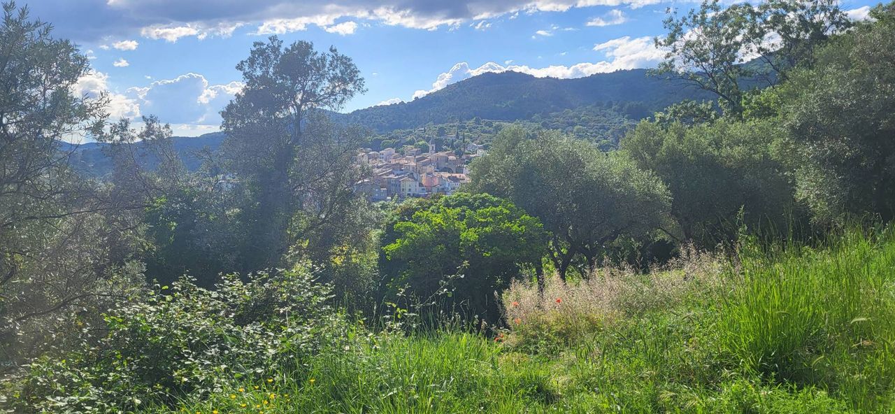 Bastidon - Callas - Var